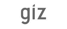 giz-1