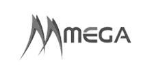 Image of mega logo